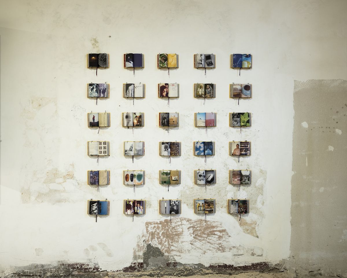 Allegra Baggio Corradi, Homographs. A Pictionary