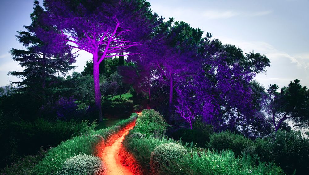 From Portofino By Night by Alejandro Chaskielberg, Portofino Dry Gin Resident 2021