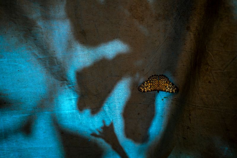 © Andrea Hernández Briceño - Image from the Fire Becomes Spirit photography project