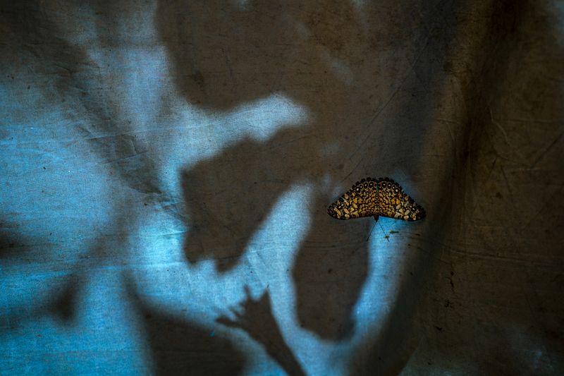 © Andrea Hernández Briceño - Image from the Fire Becomes Spirit photography project