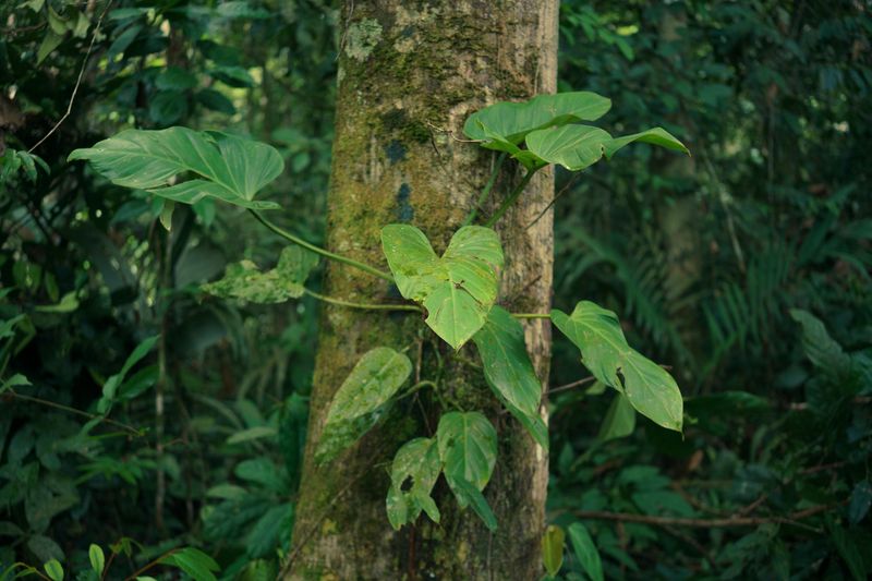 © Andrea Hernández Briceño - Image from the Fire Becomes Spirit photography project