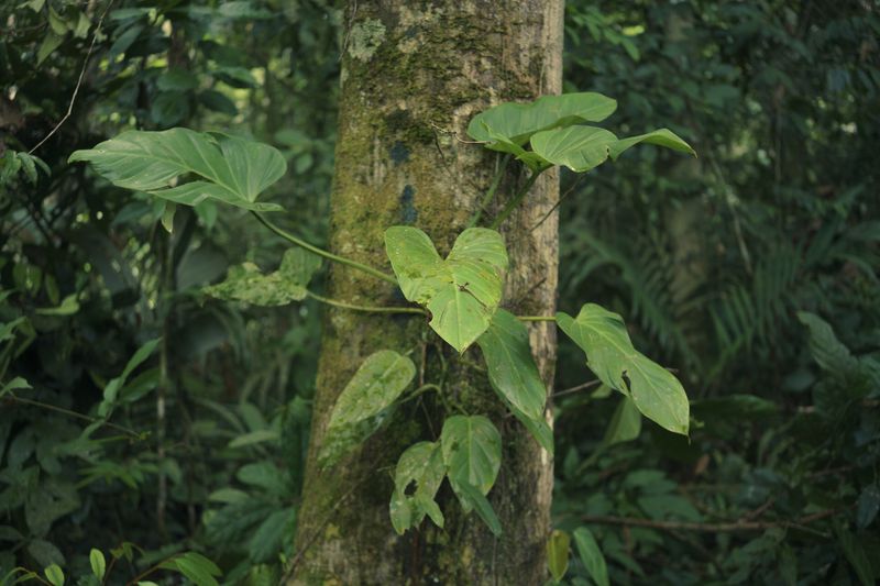 © Andrea Hernández Briceño - Image from the Fire Becomes Spirit photography project