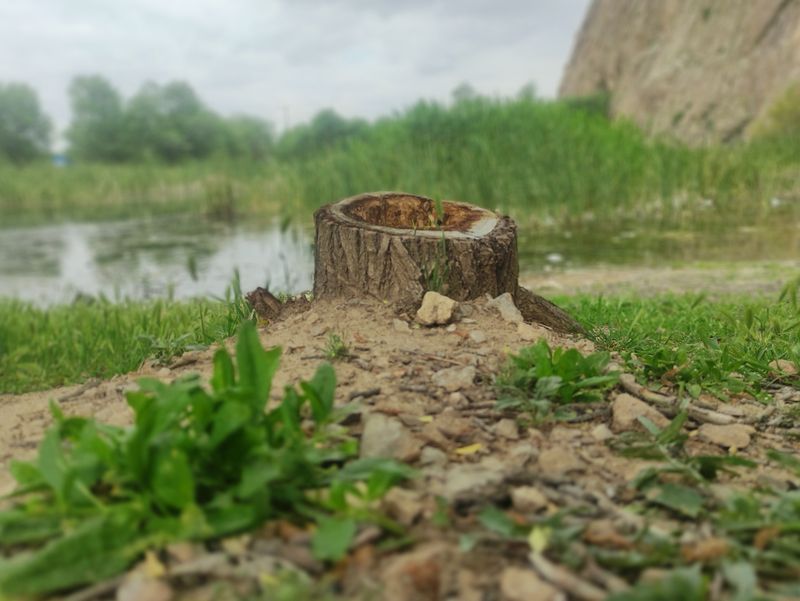 © Rokham sharifi - Image from the Tadak photography project