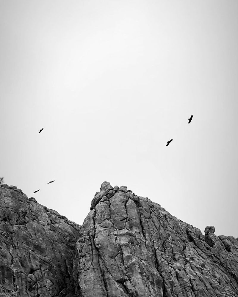 © Rokham sharifi - Image from the Tadak photography project