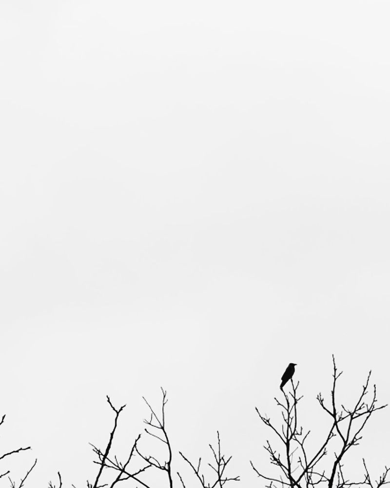 © Rokham sharifi - Image from the Tadak photography project