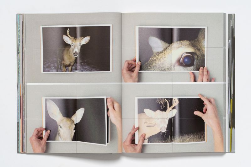 Image from a project on PhMuseum