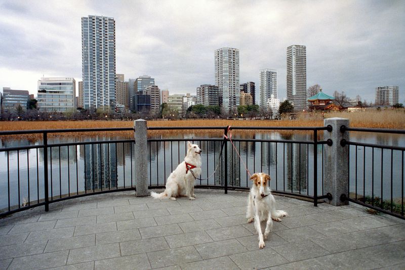 © Michalis Poulas - Lake