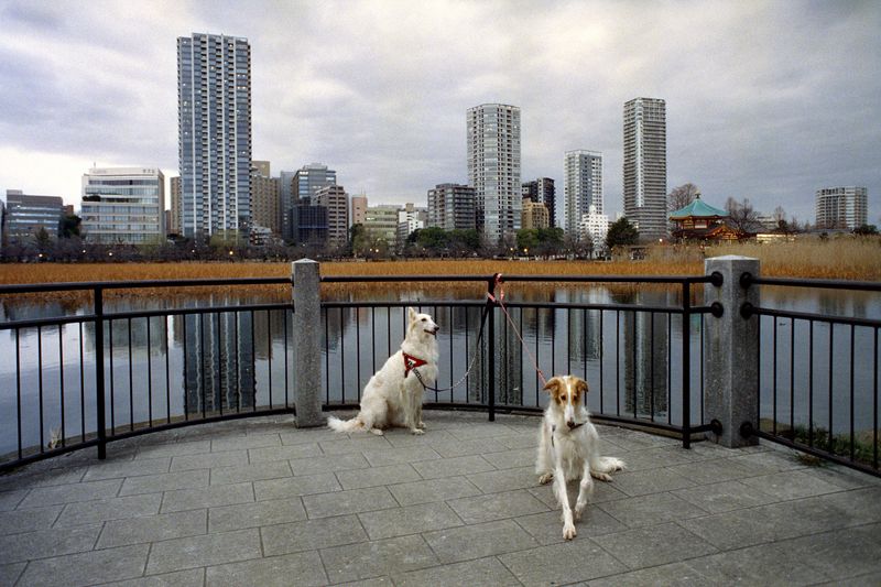 © Michalis Poulas - Lake