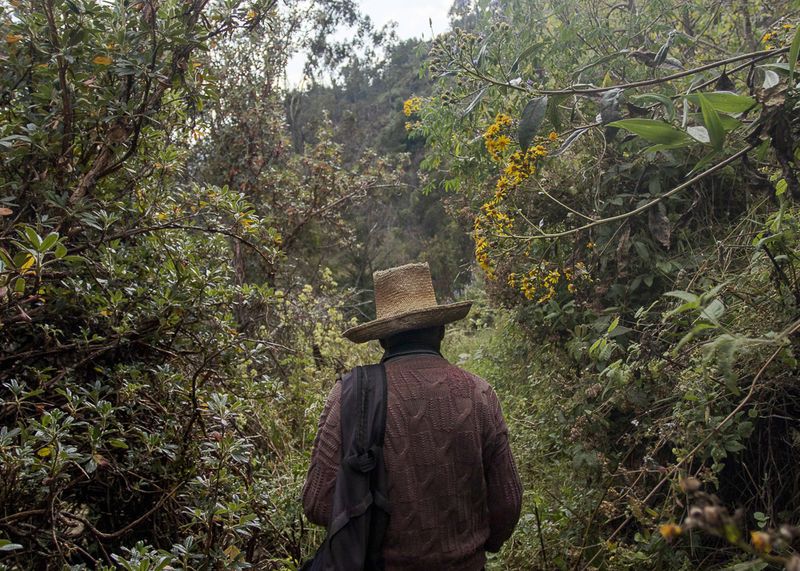 © Francisco Vigo - Image from the Soon the rain will come / Pronto vendrá la lluvia / Ch'aya muykanna tamya photography project
