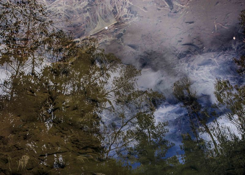 © Francisco Vigo - Image from the Soon the rain will come / Pronto vendrá la lluvia / Ch'aya muykanna tamya photography project