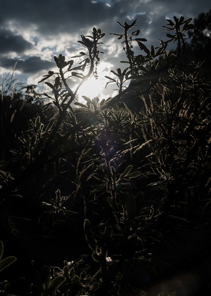 © Francisco Vigo - Image from the Soon the rain will come / Pronto vendrá la lluvia / Ch'aya muykanna tamya photography project