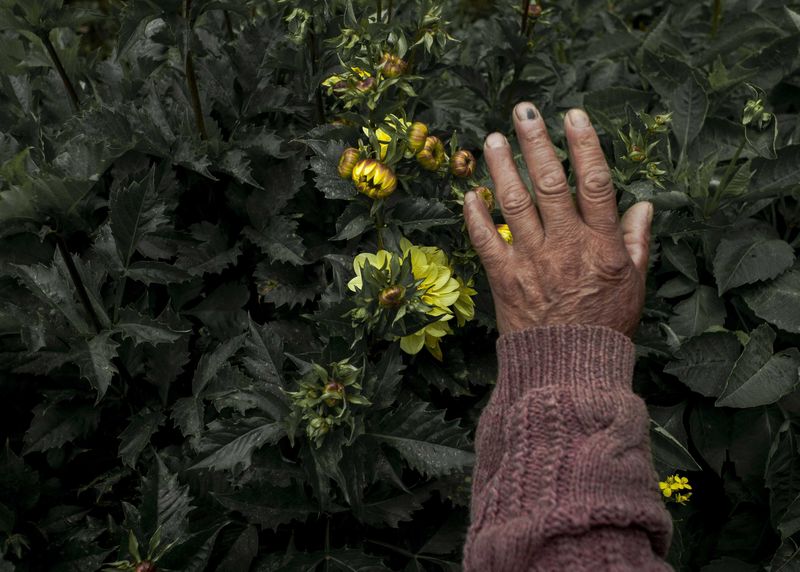 © Francisco Vigo - Image from the Soon the rain will come / Pronto vendrá la lluvia / Ch'aya muykanna tamya photography project