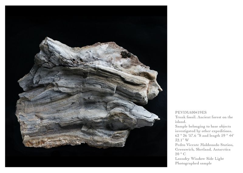 © Isadora Romero - Image from the Extremophiles photography project