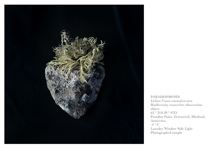 © Isadora Romero - Image from the Extremophiles photography project