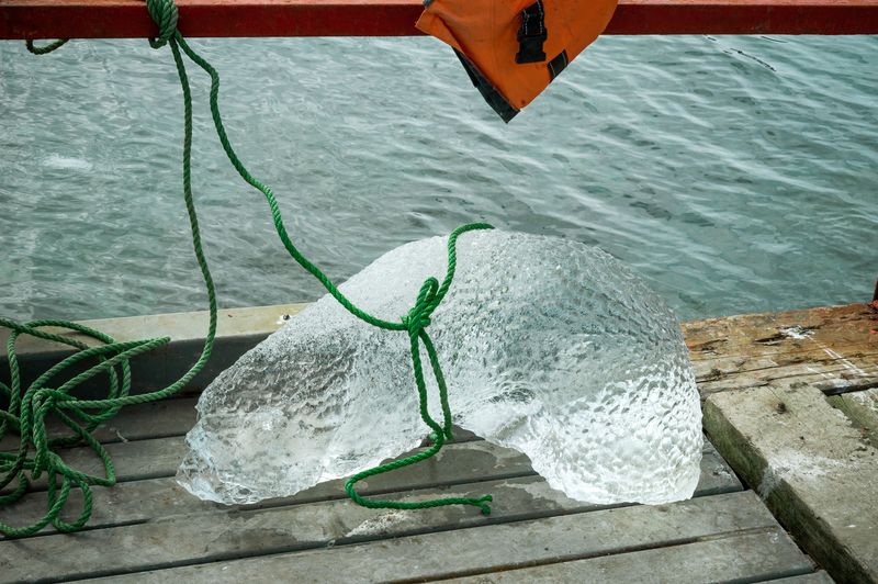 © Isadora Romero - An "ice dog" as called joking by those who inhabited the O'Higgins Chilean station on the Shetland islands in Antartica.