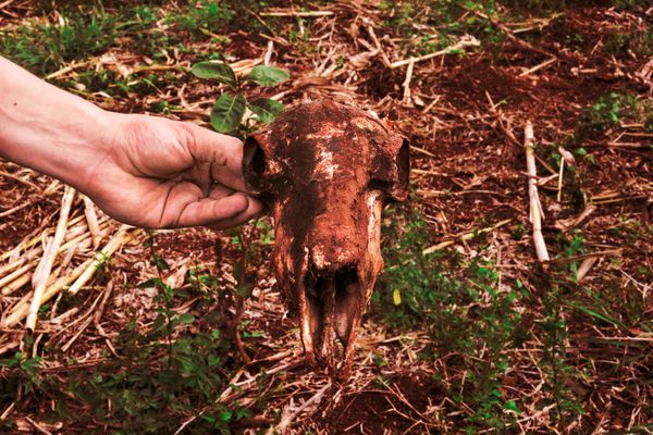 © Isadora Romero - Image from the RA'yi photography project