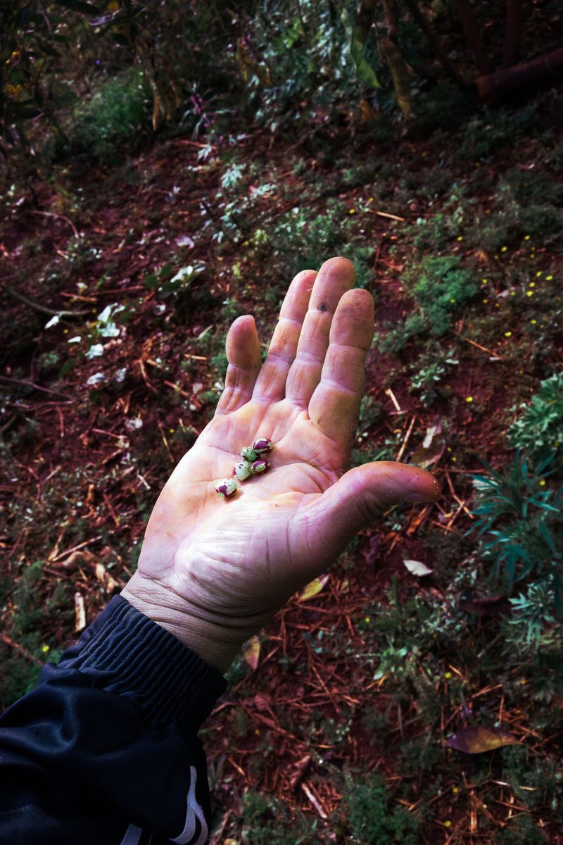 © Isadora Romero - Image from the RA'yi photography project