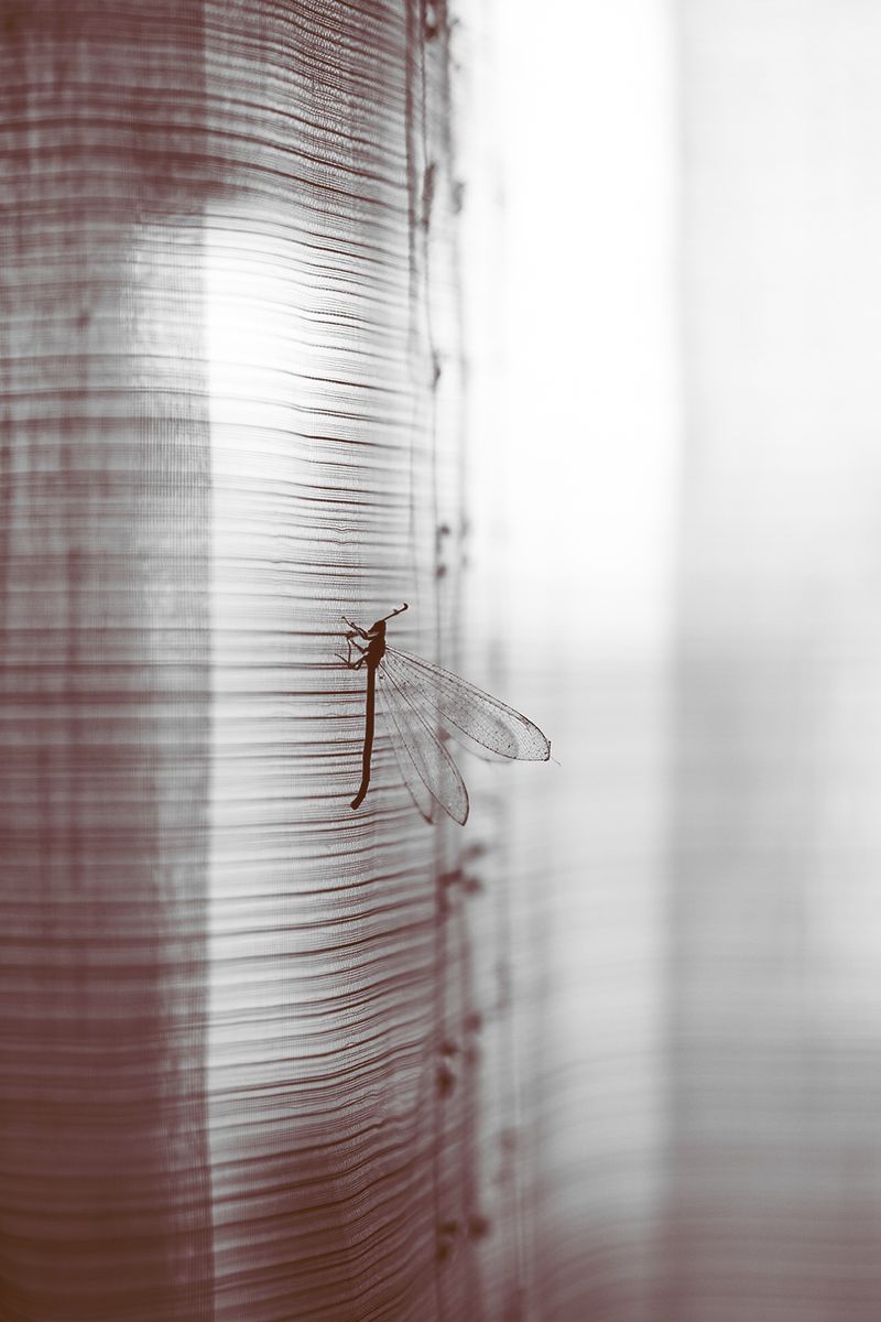 © Ariana Suárez - Image from the Love is a candle flame, it fades away photography project