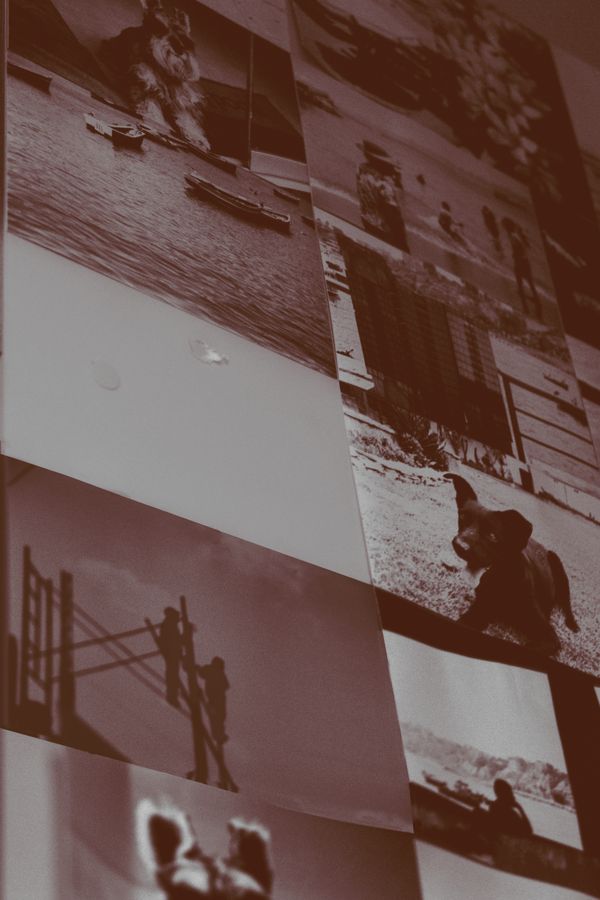 © Ariana Suárez - His photo