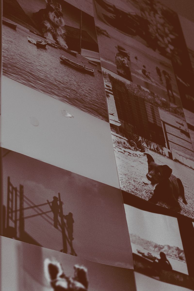 © Ariana Suárez - Image from the Love is a candle flame, it fades away photography project