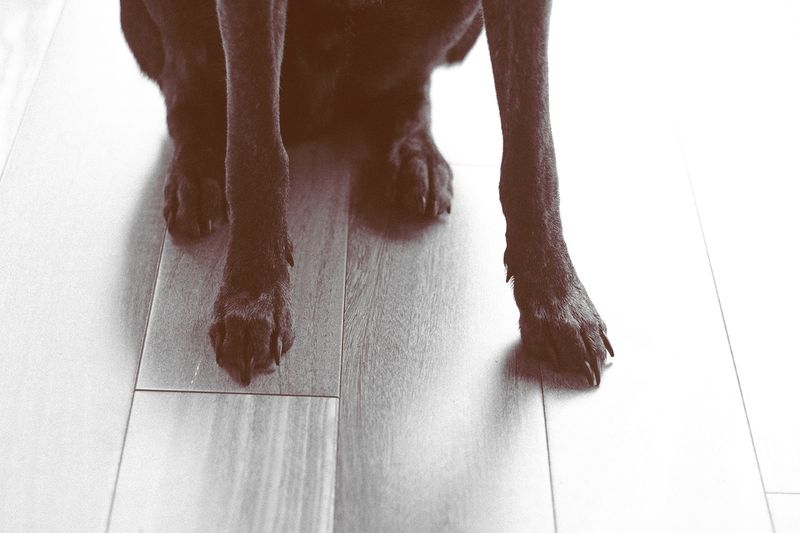 © Ariana Suárez - Image from the Love is a candle flame, it fades away photography project