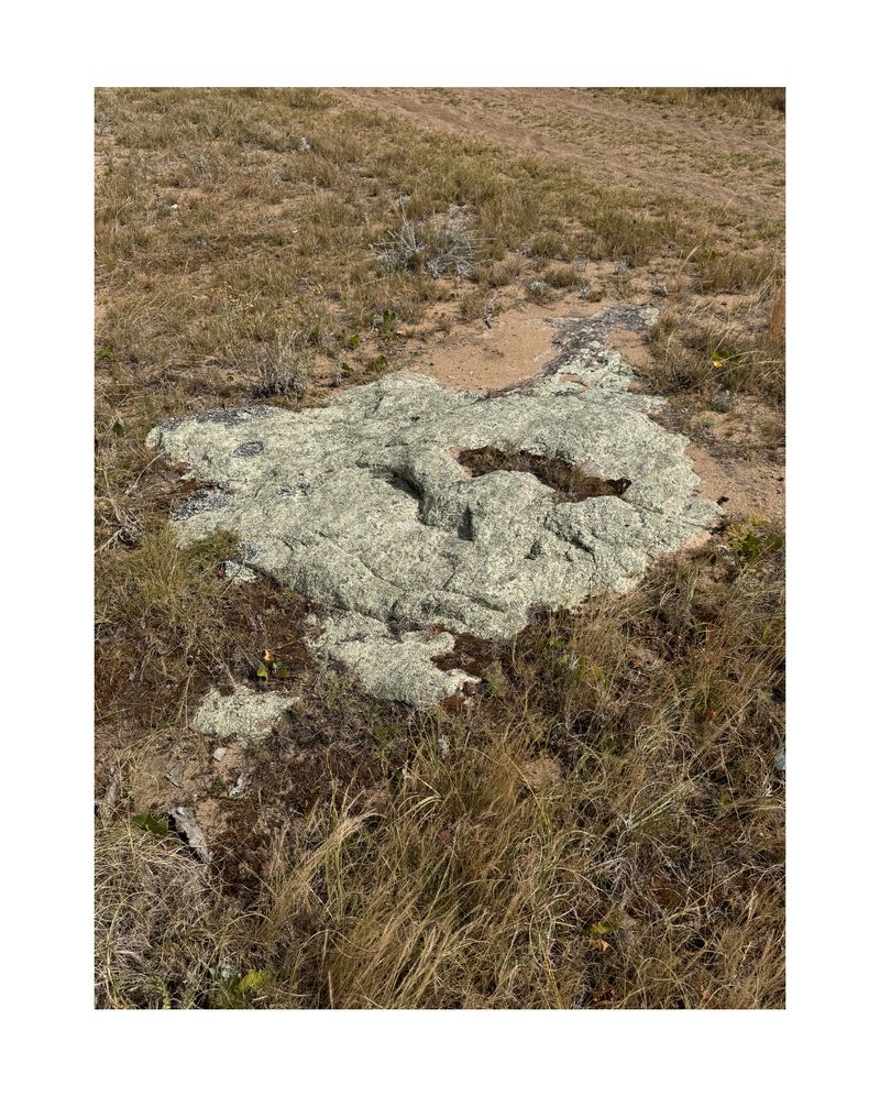 © Natalia Dana - Image from the A Study on Falling photography project