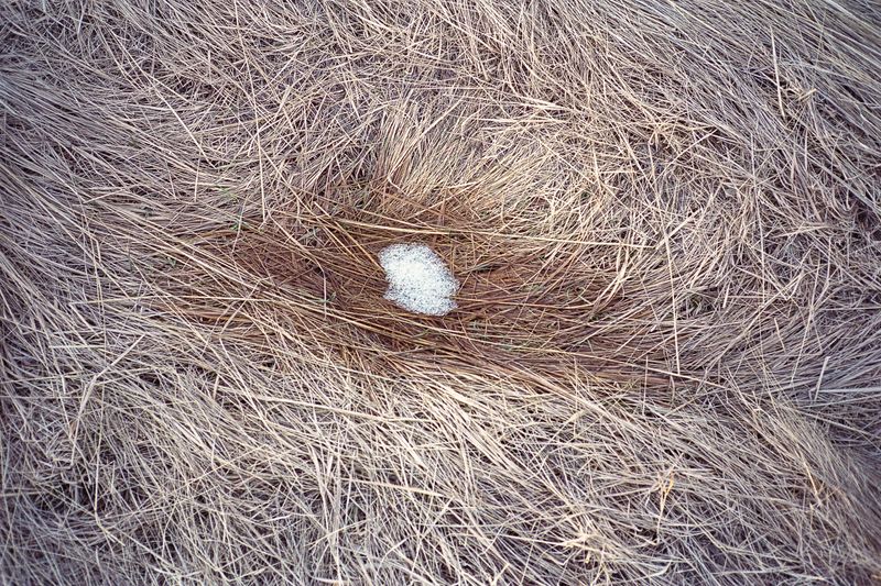 © Hui Hsien Ng - Image from the The weight of air photography project