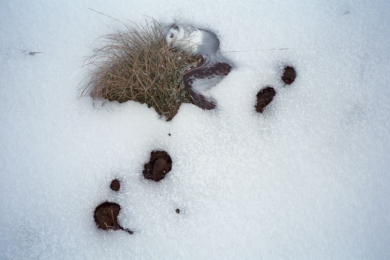 © Hui Hsien Ng - Image from the The weight of air photography project