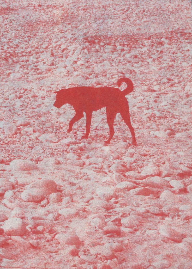 © Rohan Thapa - Image from the Moksha photography project