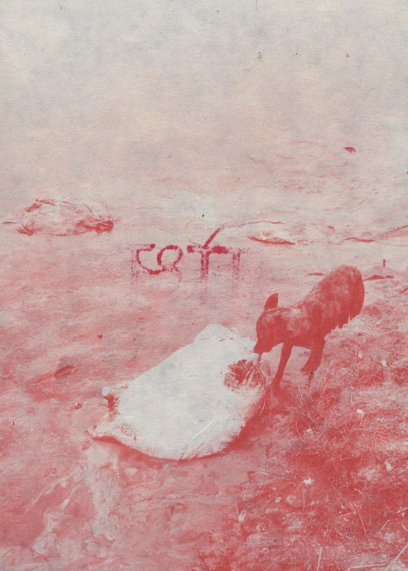 © Rohan Thapa - Image from the Moksha photography project