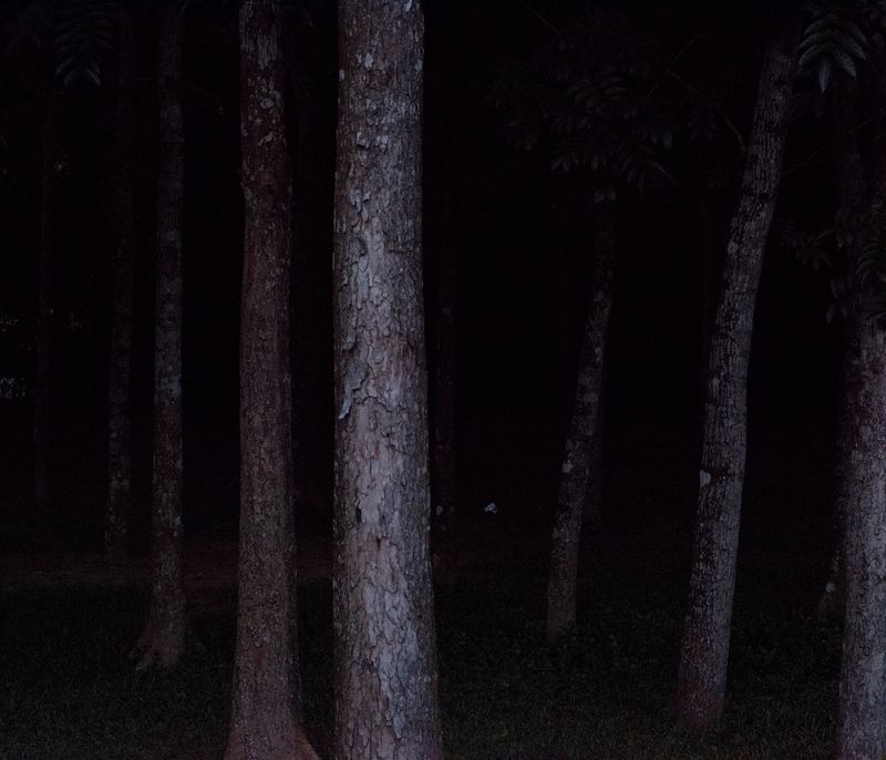 © Ashfika Rahman - Image from the Files of the Disappeared photography project