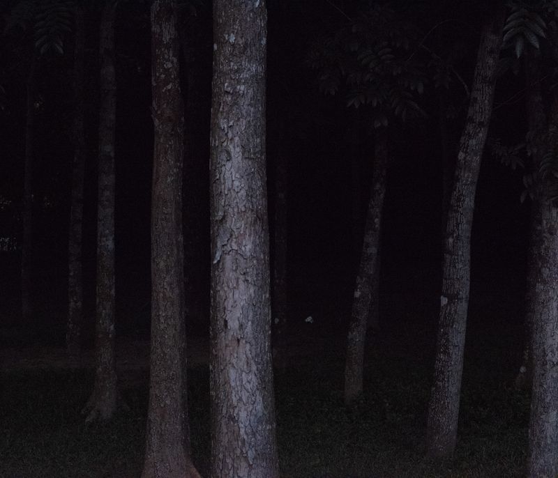 © Ashfika Rahman - Image from the Files of the Disappeared photography project