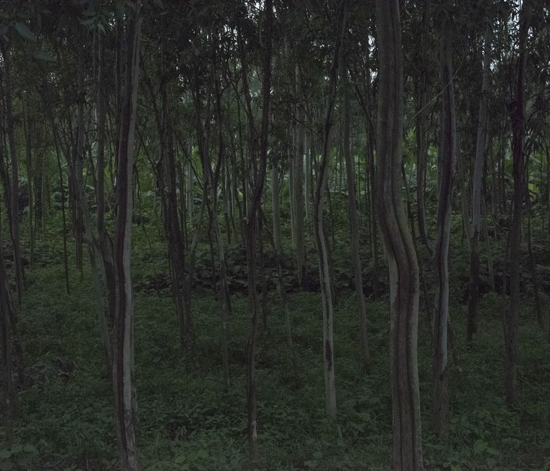 © Ashfika Rahman - Image from the Files of the Disappeared photography project