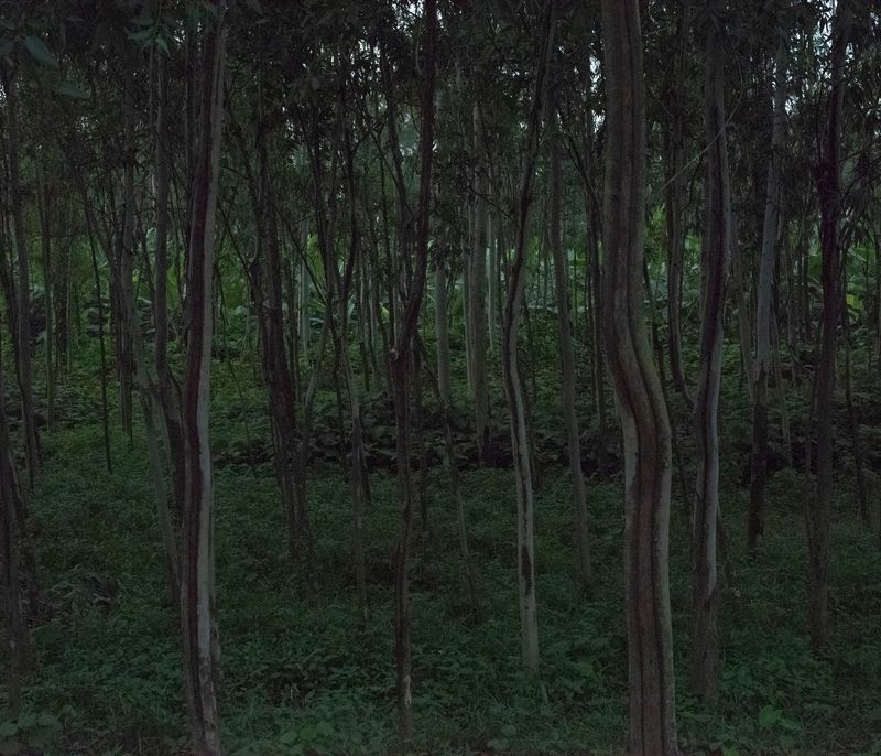 © Ashfika Rahman - Image from the Files of the Disappeared photography project