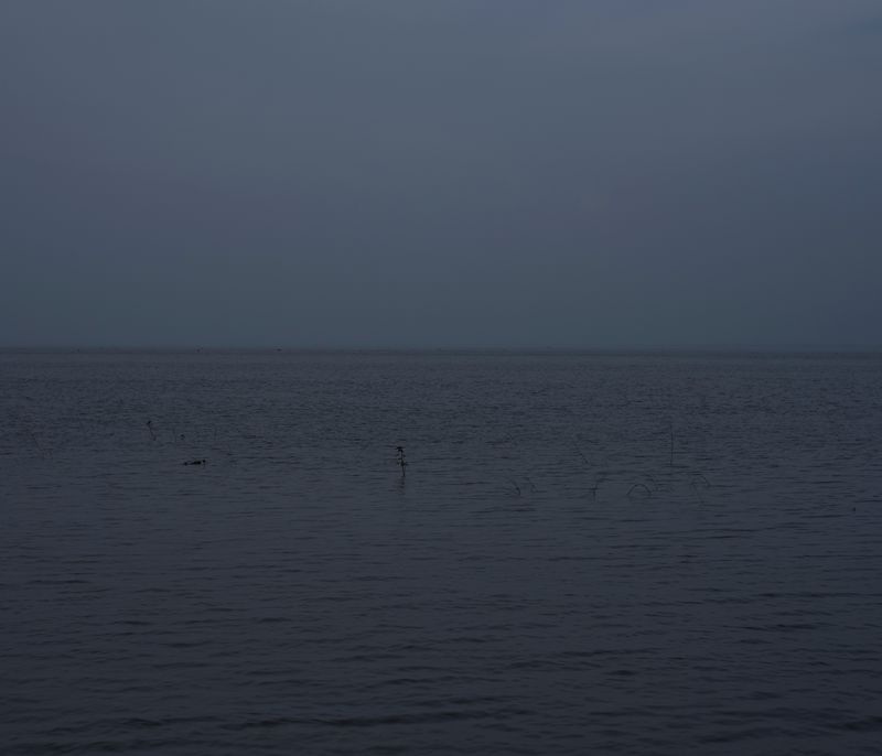 © Ashfika Rahman - Image from the Files of the Disappeared photography project