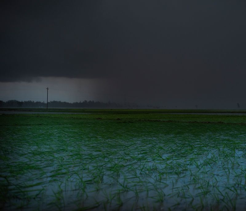 © Ashfika Rahman - Image from the Files of the Disappeared photography project