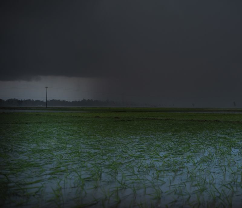 © Ashfika Rahman - Image from the Files of the Disappeared photography project