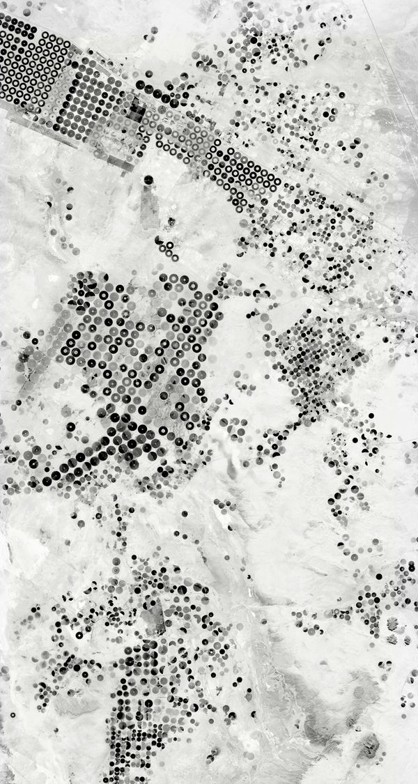 © Marcela Magno - Image from the Land photography project