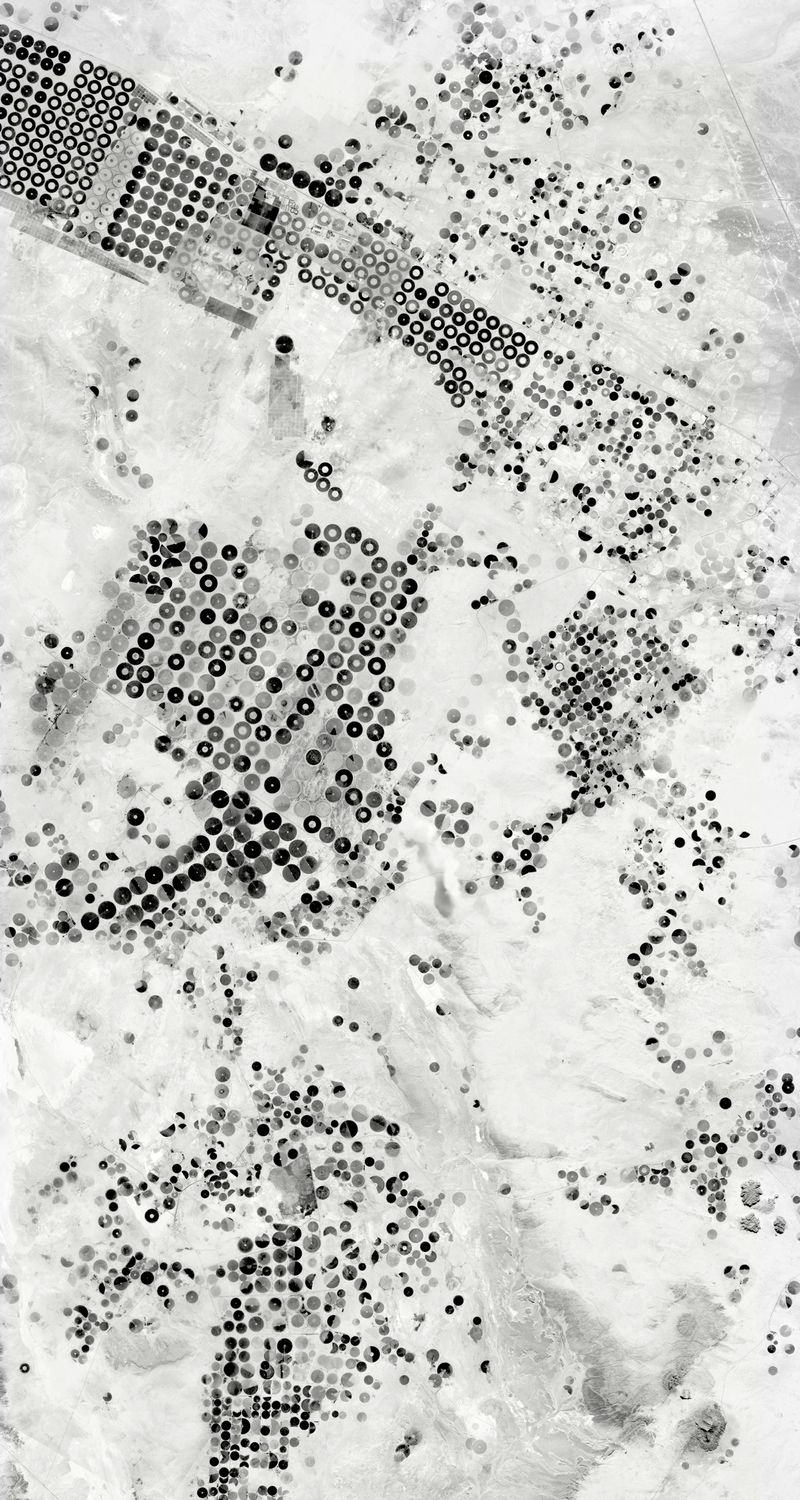 © Marcela Magno - Image from the Land photography project