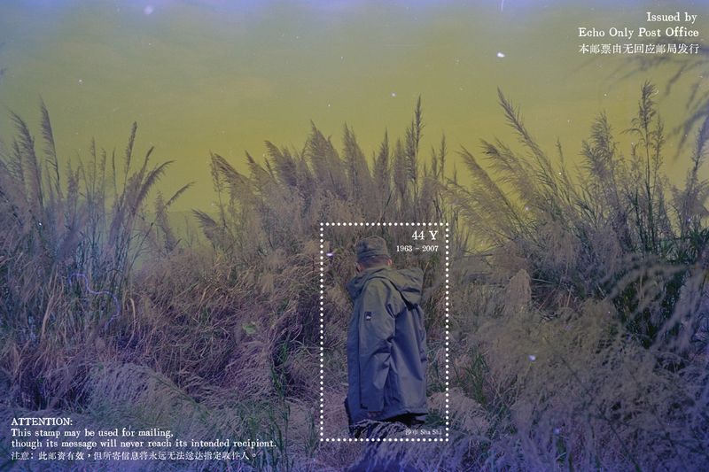 © Tutu Guo - Echo Only Post Office, 2025-2026, dimensions variable.