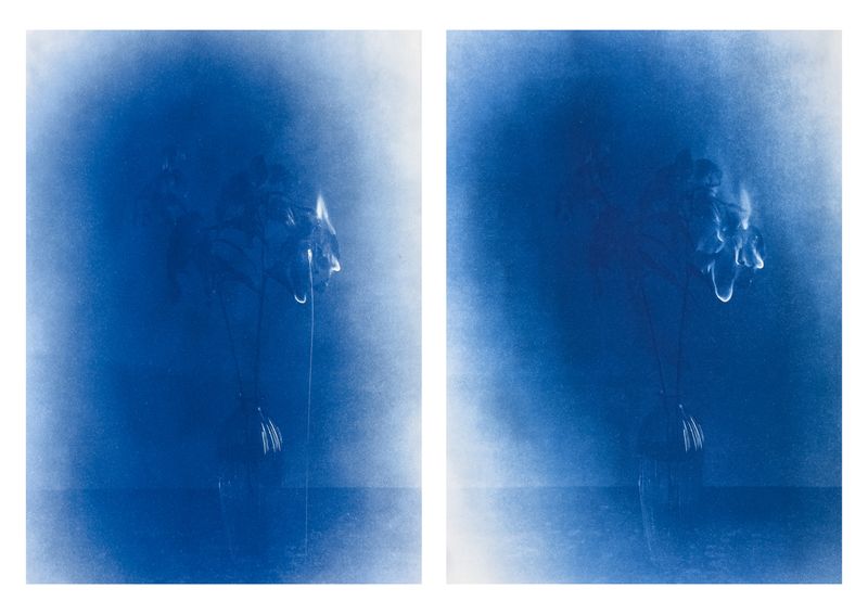© Tutu Guo - Image from the Sliver Lining photography project
