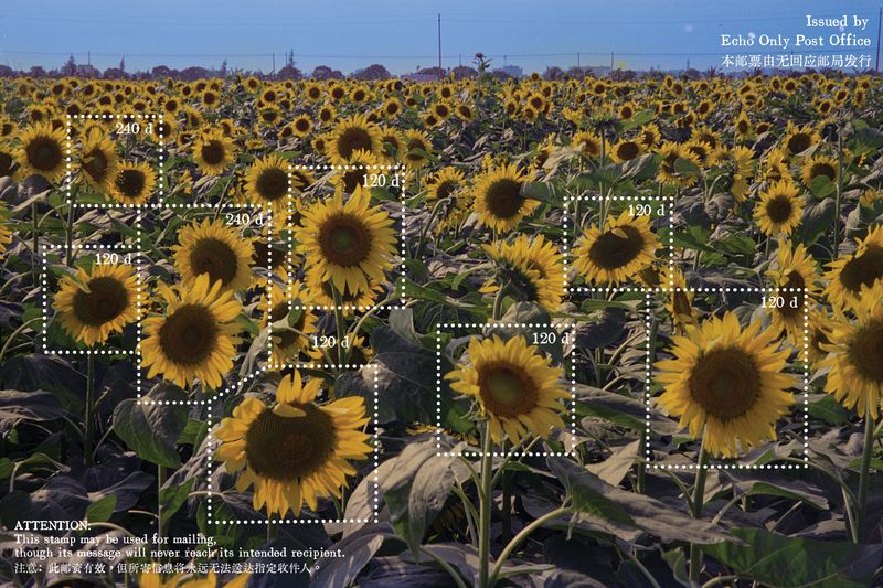 © Tutu Guo - Image from the Echo Only Post Office photography project