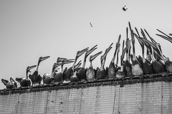 © Éléonore Simon - Image from the Valparaíso photography project