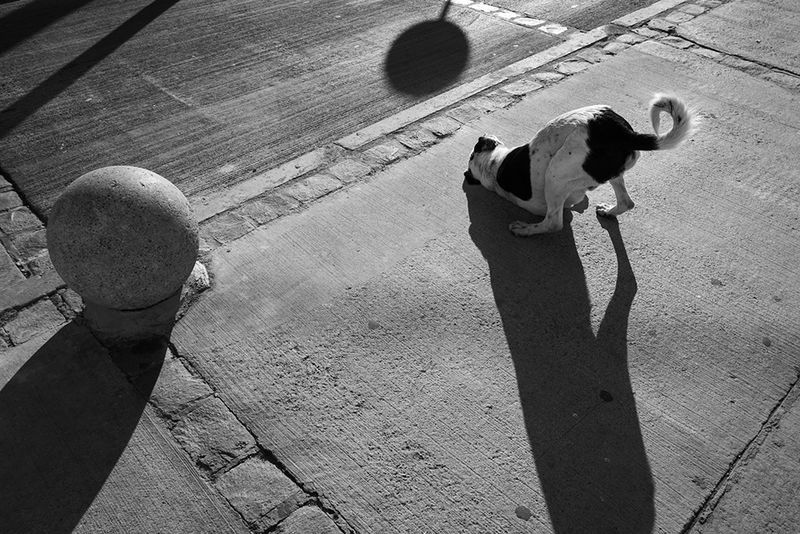 © Éléonore Simon - Image from the Valparaíso photography project