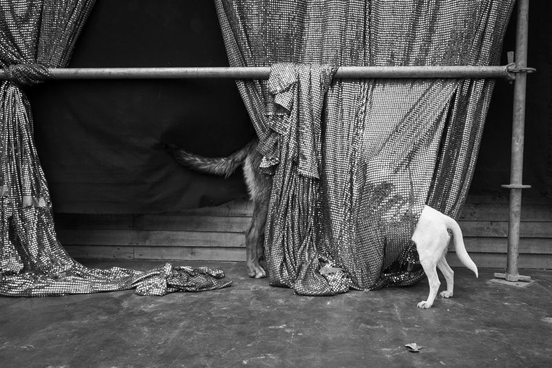 © Éléonore Simon - Image from the Valparaíso photography project