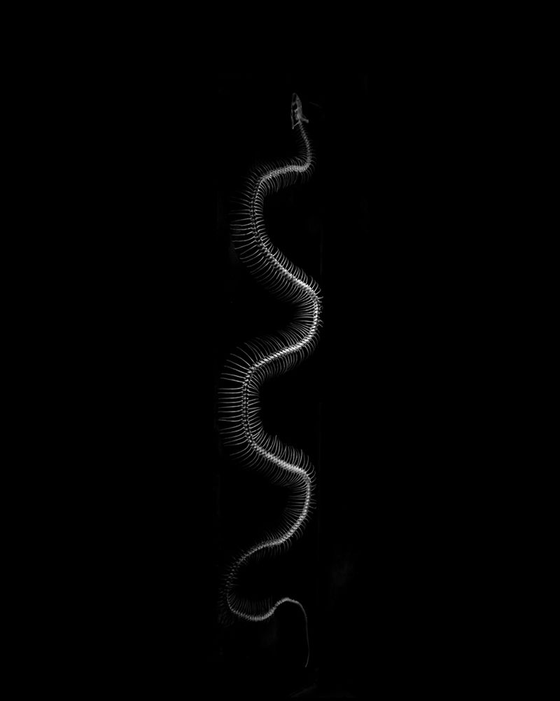 © Michael Koch - sloengur