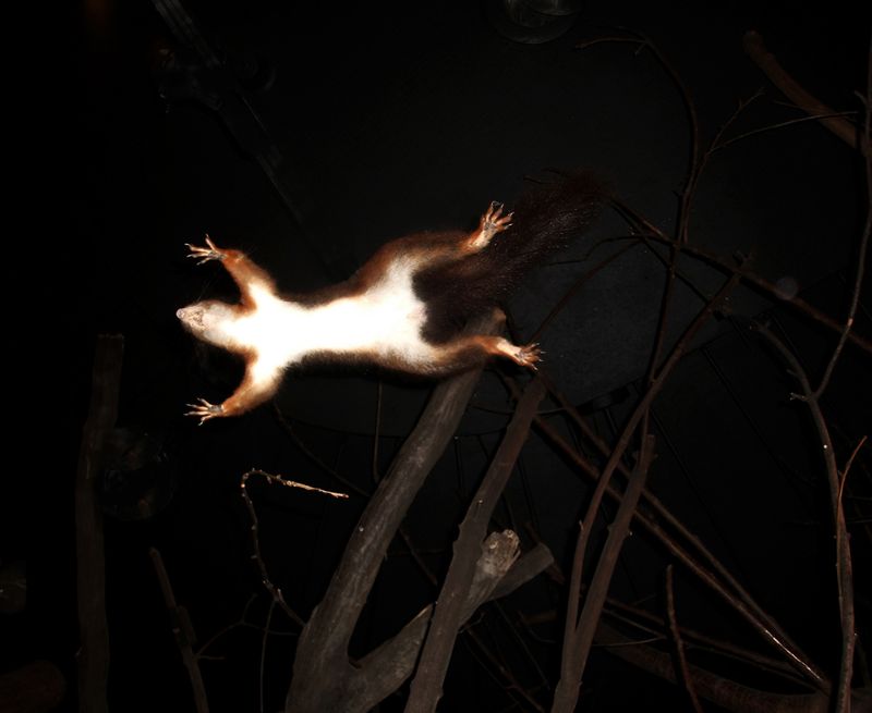 © Michael Koch - Absprung