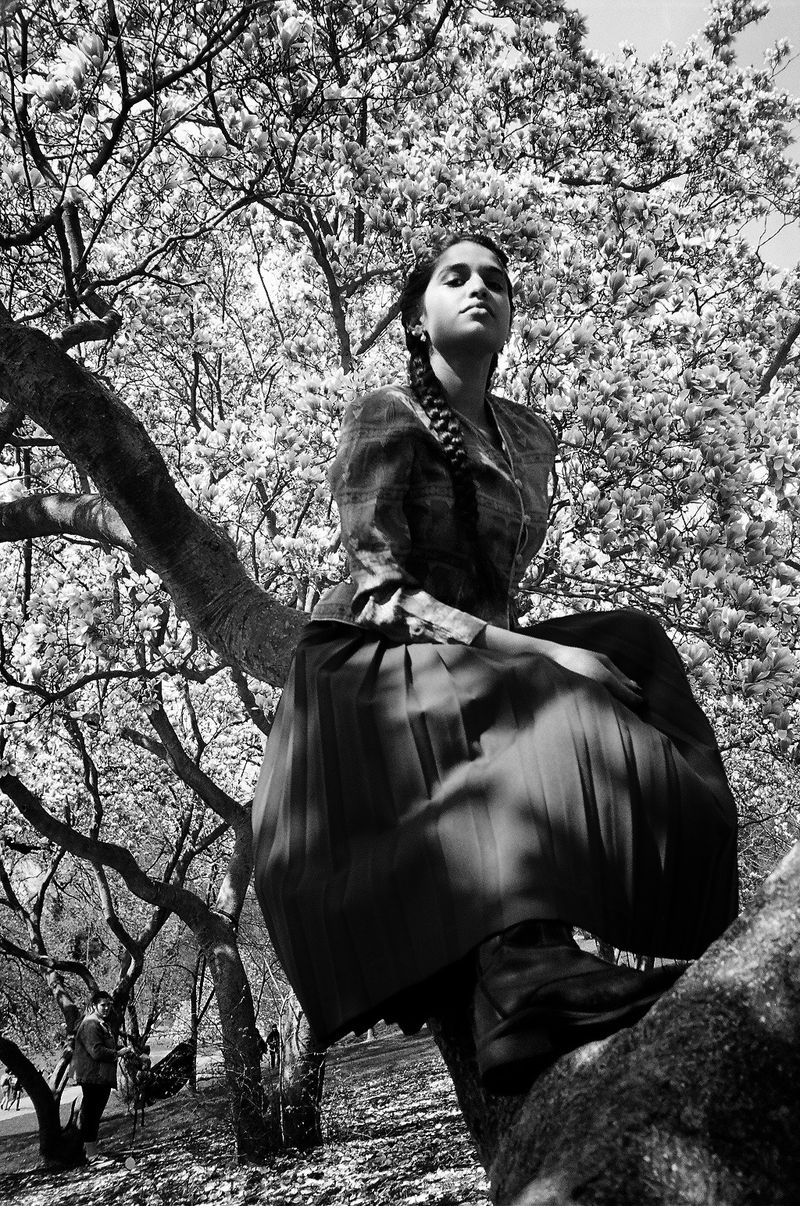 © Abigail Nelson - Devi II