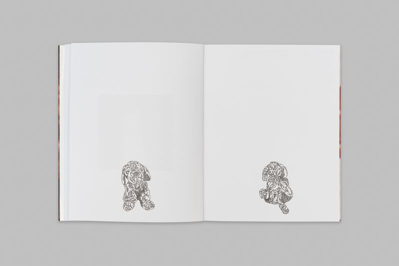 Image from a project on PhMuseum