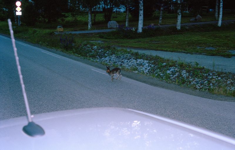 Image from a project on PhMuseum